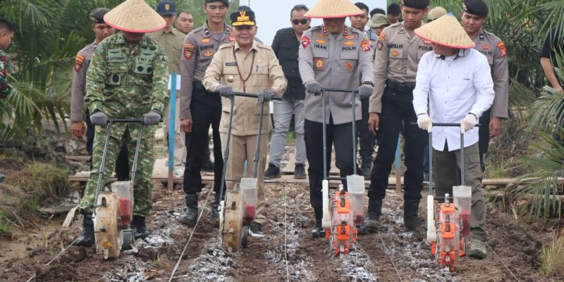 Wujudkan Ketahanan Pangan, Polda Kalteng Gandeng PT. MKM Tanam Jagung di Tengah Lahan Sawit