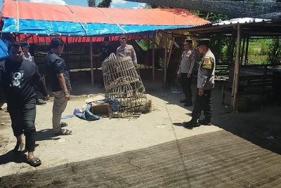 Polres Ponorogo Bubarkan 3 Titik Judi Sabung Ayam dan Dadu