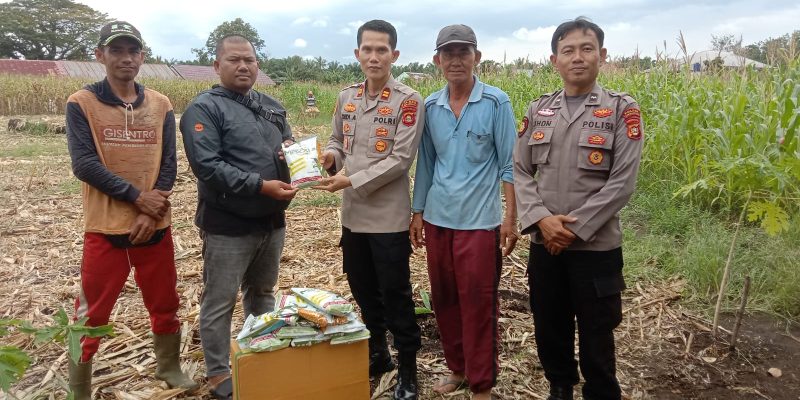 Polsek Lubuk Linggau Selatan l Perkuat Ketahanan Pangan Salurkan Bibit Jagung ke Kelompok Tani Siring Agung
