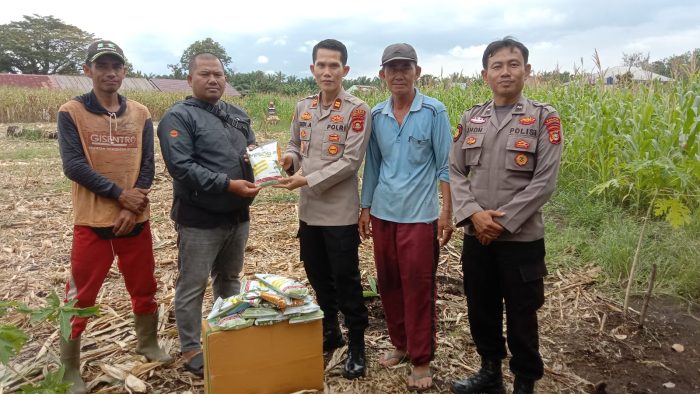 Polsek Lubuk Linggau Selatan l Perkuat Ketahanan Pangan Salurkan Bibit Jagung ke Kelompok Tani Siring Agung