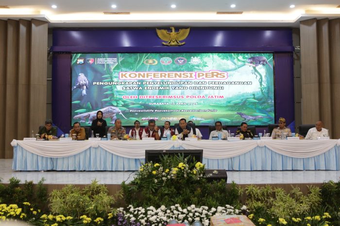 Polda Jatim Ungkap Jaringan Perdagangan Satwa Dilindungi Belasan Tersangka Diamankan