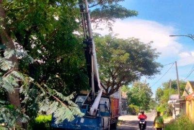 Dinas Bina Marga Pangkas Pohon Rawan Tumbang Karna Cuaca Tak Menentu
