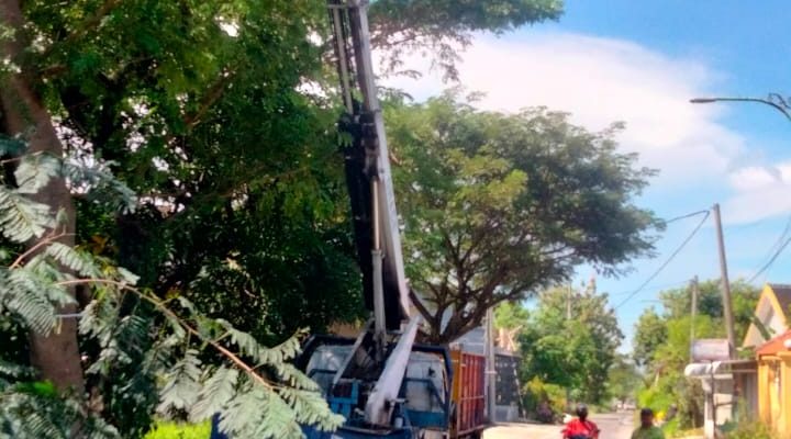 Dinas Bina Marga Pangkas Pohon Rawan Tumbang Karna Cuaca Tak Menentu