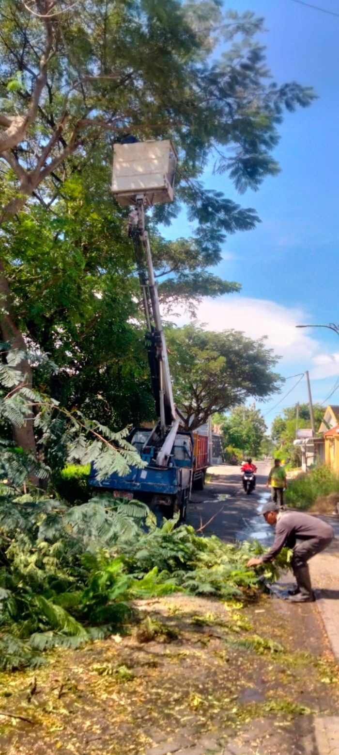 Dinas Bina Marga Pangkas Pohon Rawan Tumbang Karna Cuaca Tak Menentu