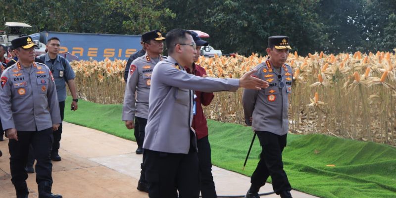Polri dan Petani Jagung Tuban Siap Sambut Presiden Prabowo di Panen Raya Jagung Serentak