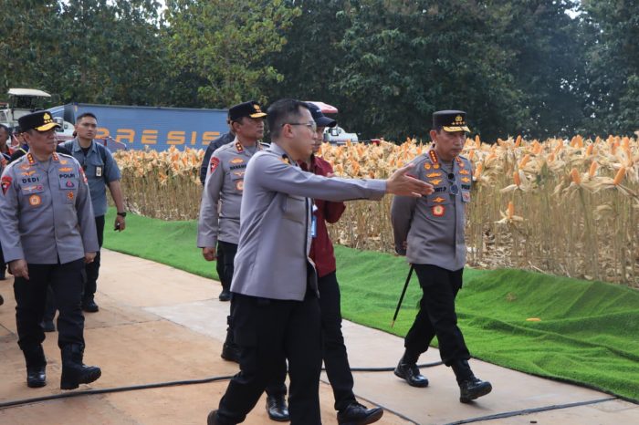 Polri dan Petani Jagung Tuban Siap Sambut Presiden Prabowo di Panen Raya Jagung Serentak
