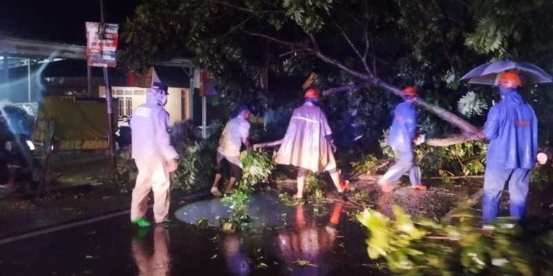 Polsek Bojong dan Tim Gabungan Evakuasi Pohon Tumbang di Babalanlor