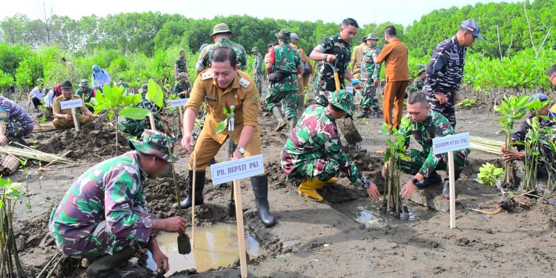 Lawan Abrasi, Pemkab Pekalongan dan Kodim Tanam 1.000 Mangrove di Pesisir Wonokerto