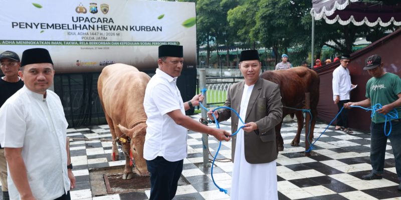 Polda Jawa Timur Salurkan 127 Sapi dan 22 Kambing Kurban Untuk Masyarakat di Idul Adha 1447 H