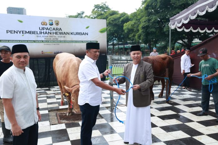 Polda Jawa Timur Salurkan 127 Sapi dan 22 Kambing Kurban Untuk Masyarakat di Idul Adha 1447 H