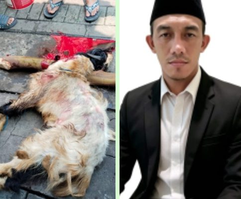 Jaga Sunnah dan Kebersamaan, Redaksi Harian Mata Berita Sembelih Hewan Qurban