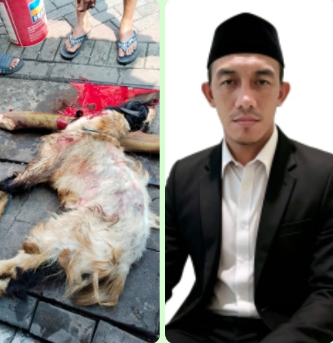 Jaga Sunnah dan Kebersamaan, Redaksi Harian Mata Berita Sembelih Hewan Qurban