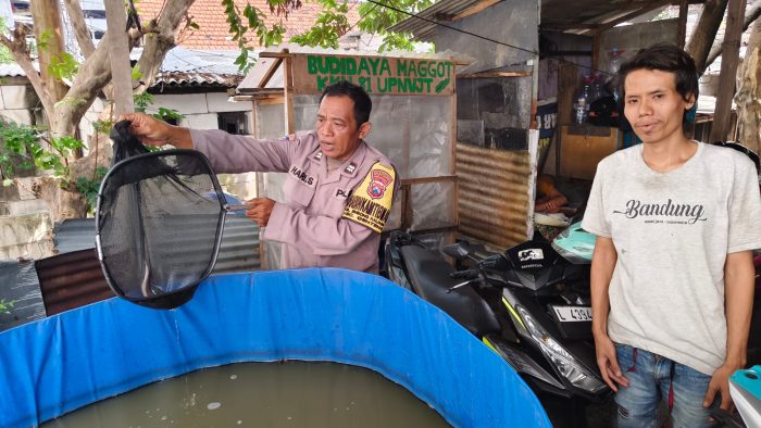 Budidaya Lele dan Produksi Abon Lele, Polsek Genteng Dukung Ketahanan Pangan di Embong Kaliasin