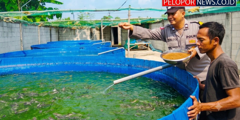Bhabinkamtibmas Polsek Rembang Pantau Budidaya Lele, Dukung Ketahanan Pangan Nasional