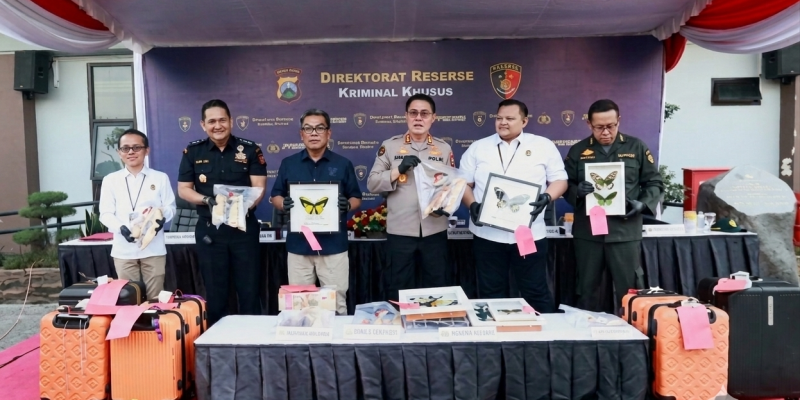 Polda Jatim Bongkar Tiga Skandal Perdagangan Ilegal Satwa dan Benih Lobster Senilai Miliaran Rupiah