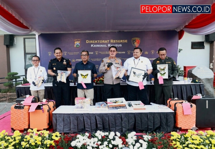 Polda Jatim Bongkar Tiga Skandal Perdagangan Ilegal Satwa dan Benih Lobster Senilai Miliaran Rupiah
