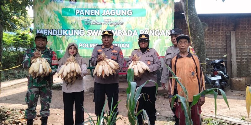 Dukung Asta Cita Presiden, Polsek Puspo Panen Jagung Bersama Petani