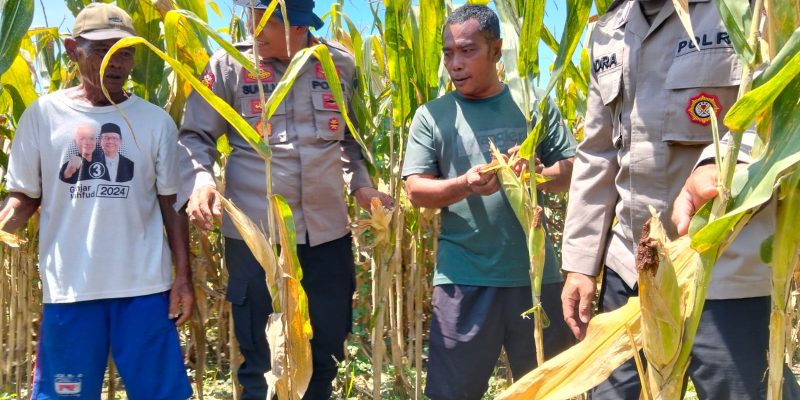 Polresta Sidoarjo Gelorakan Swasembada Pangan Melalui Program P2B