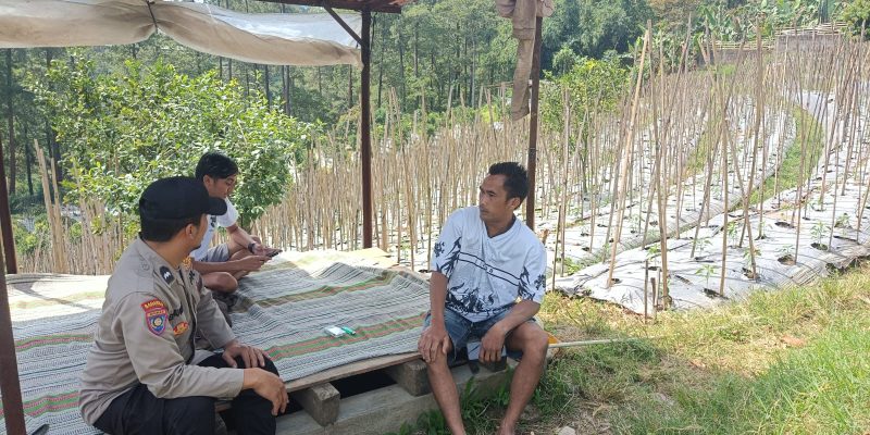 Bhabinkamtibmas Desa Gendro Tinjau Tanaman Cabai dalam Program Pekarangan Pangan Bergizi