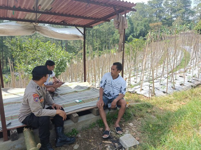 Bhabinkamtibmas Desa Gendro Tinjau Tanaman Cabai dalam Program Pekarangan Pangan Bergizi