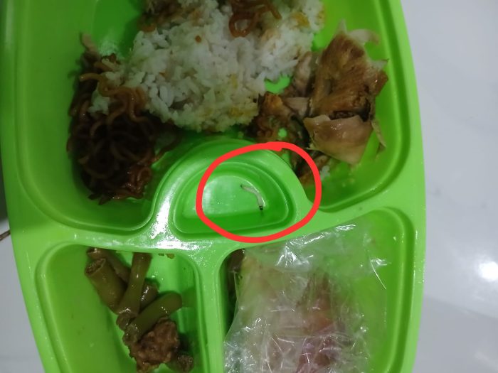 Diduga Penemuan Ulat Pada Menu MBG Balita Picu Kekhawatiran Orang Tua di Poncol