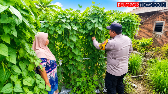 Polsek Nongkojajar Dampingi Warga Kembangkan Buncis Untuk Perkuat Ketahanan Pangan di Tutur