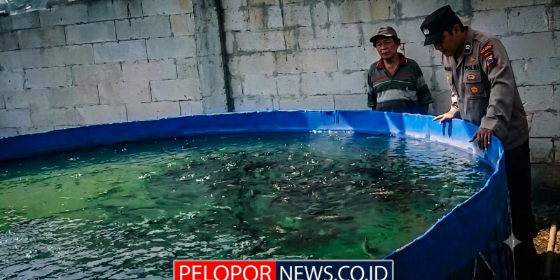 Tak Hanya Jaga Kamtibmas, Polisi di Rembang Dampingi Budidaya Lele Warga