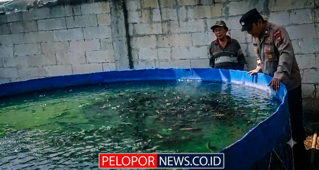 Tak Hanya Jaga Kamtibmas, Polisi di Rembang Dampingi Budidaya Lele Warga