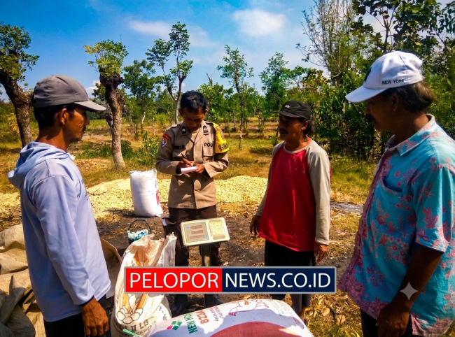 Polisi Dampingi Petani Bantu Distribusi 2,8 Ton Jagung Petani Rebono ke Bulog