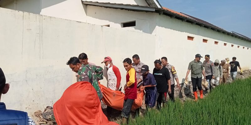 Perangkat Desa Kalipancur Ditemukan Meninggal di Area Persawahan, Polisi Selidiki Penyebab Kematian