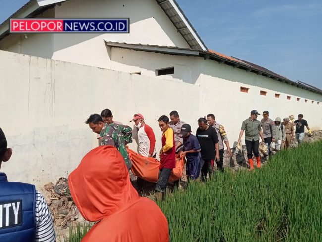 Perangkat Desa Kalipancur Ditemukan Meninggal di Area Persawahan, Polisi Selidiki Penyebab Kematian