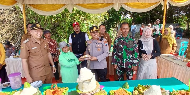 Panen Jagung Kuartal III di Kecamatan Balongbendo