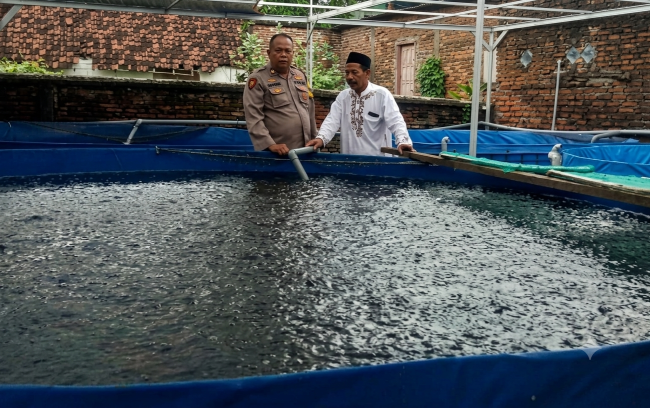 Budidaya Lele Warga Tambakan Berkembang Baik, Bhabinkamtibmas Dukung Program Pekarangan Bergizi