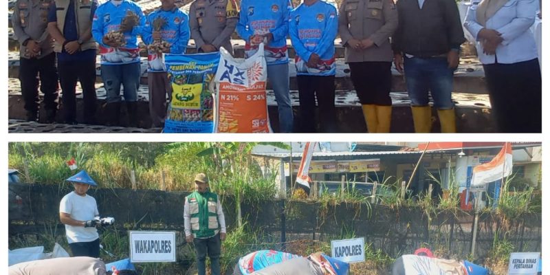 Percepat Swasembada Bawang Putih, Polres Pasuruan Gelar Penanaman Serentak di Tlogosari