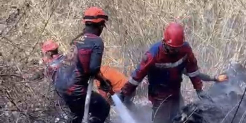 Pemkot Surabaya Kirim Damkar Bantu Padamkan Karhutla di Kawasan Bromo