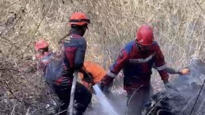 Pemkot Surabaya Kirim Damkar Bantu Padamkan Karhutla di Kawasan Bromo