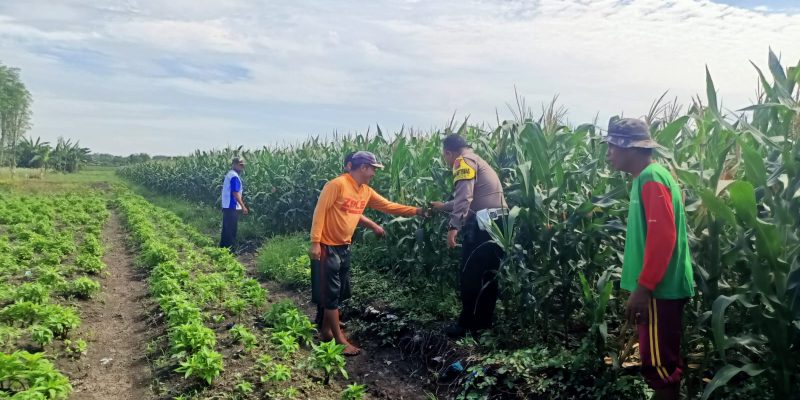 TNI-Polri Kawal Ketahanan Pangan