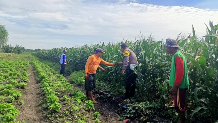 TNI-Polri Kawal Ketahanan Pangan