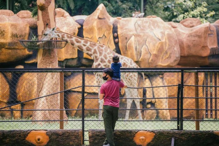 Evaluasi Tata Kelola KBS, Pemkot Surabaya Siapkan Pengawas Khusus Medis dan Nutrisi Satwa