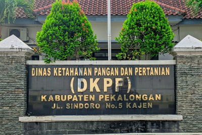 Bantuan Ternak Pekalongan Rp 2,64 Miliar Disorot LPKM, Kasus Sapi Telogopakis Jadi Pintu Masuk Pemeriksaan