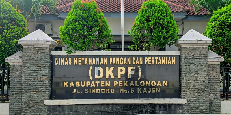 Bantuan Ternak Pekalongan Rp 2,64 Miliar Disorot LPKM, Kasus Sapi Telogopakis Jadi Pintu Masuk Pemeriksaan
