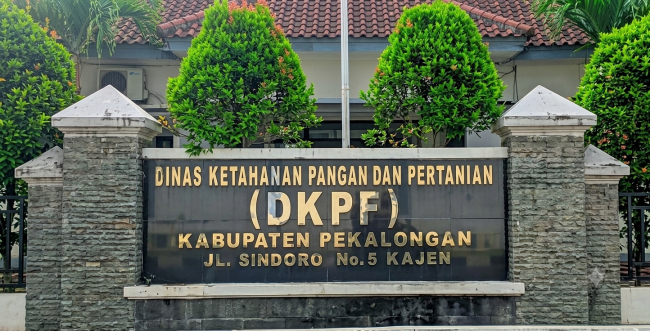 Bantuan Ternak Pekalongan Rp 2,64 Miliar Disorot LPKM, Kasus Sapi Telogopakis Jadi Pintu Masuk Pemeriksaan