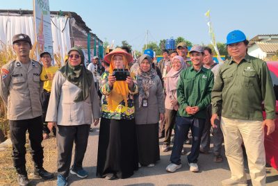 Panen Jagung Bantuan Pemerintah di Sambisirah Kenalkan Modernisasi Pertanian