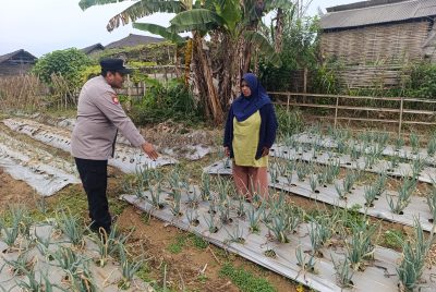 Bhabinkamtibmas Nongkojajar Pantau Tanaman Bawang Merah, Dukung Ketahanan Pangan Nasional