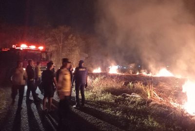 Bekas Kebun Tebu di Pekalongan Terbakar Tengah Malam, Ternyata Sengaja Dibakar untuk Dibersihkan