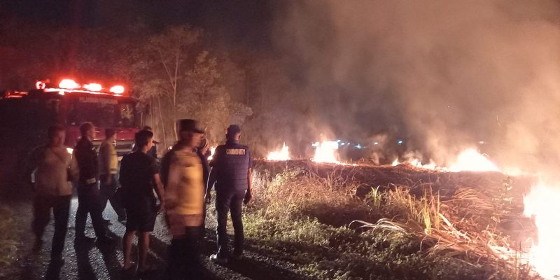 Bekas Kebun Tebu di Pekalongan Terbakar Tengah Malam, Ternyata Sengaja Dibakar untuk Dibersihkan