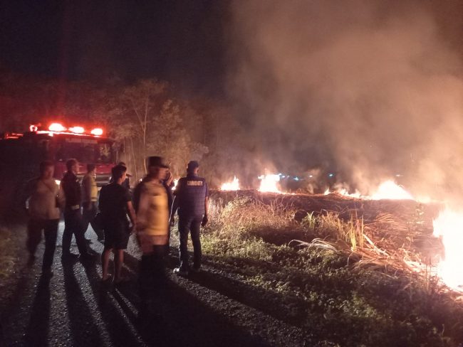 Bekas Kebun Tebu di Pekalongan Terbakar Tengah Malam, Ternyata Sengaja Dibakar untuk Dibersihkan