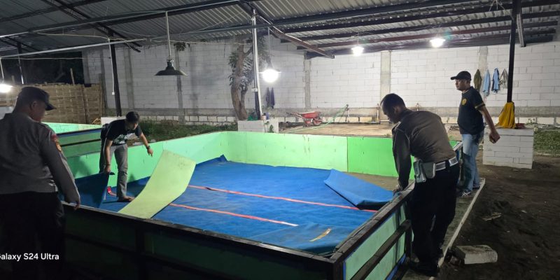 Polsek Candi Bongkar Sarana Sabung Ayam di Desa Klurak