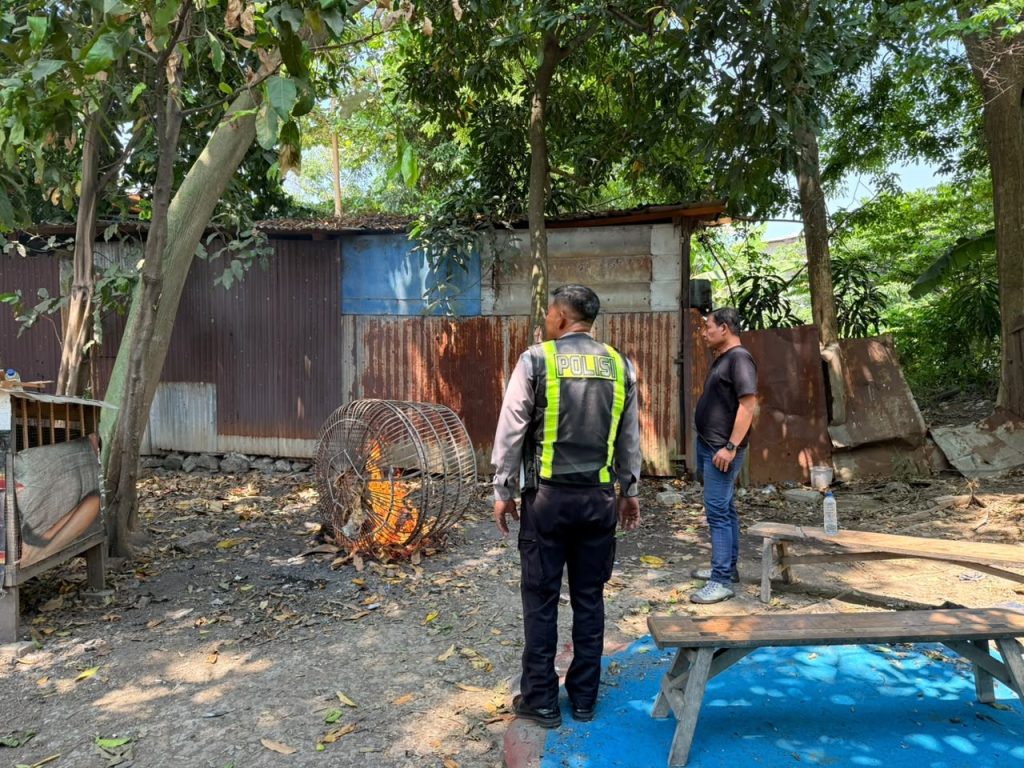 Polsek Taman Respon Cepat Aduan Warga Dugaan Judi Sabung Ayam di Sambibulu