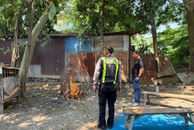 Polsek Taman Respon Cepat Aduan Warga Dugaan Judi Sabung Ayam di Sambibulu